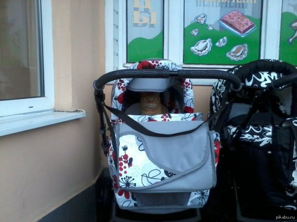 Родильное отделение вывеска