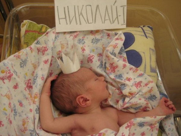 Роддом карикатура