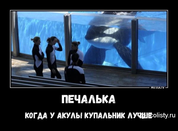 Печалька прикол