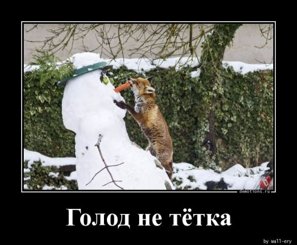 Голод не тетка картинки