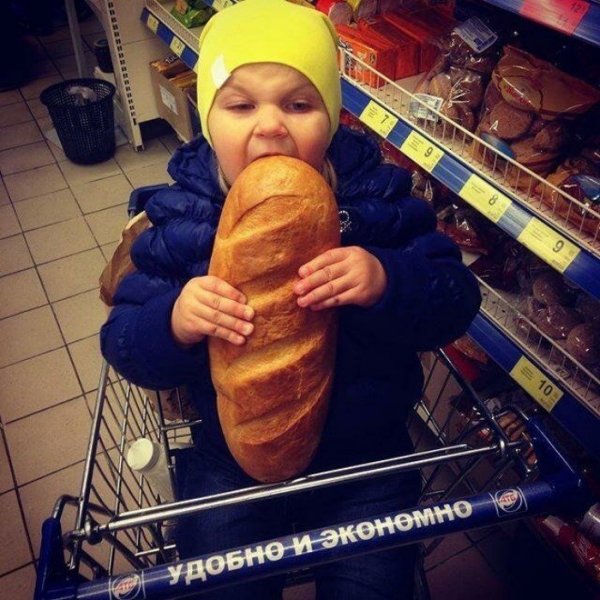 Голодовка смешные фото