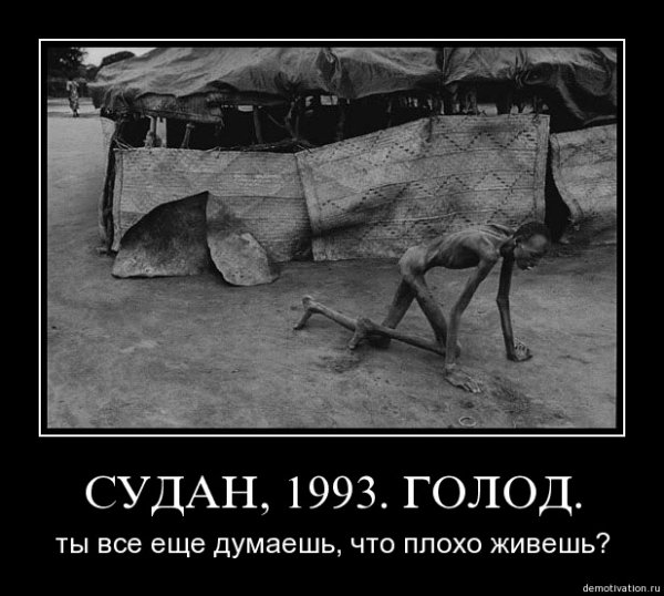 Высказывания про голод