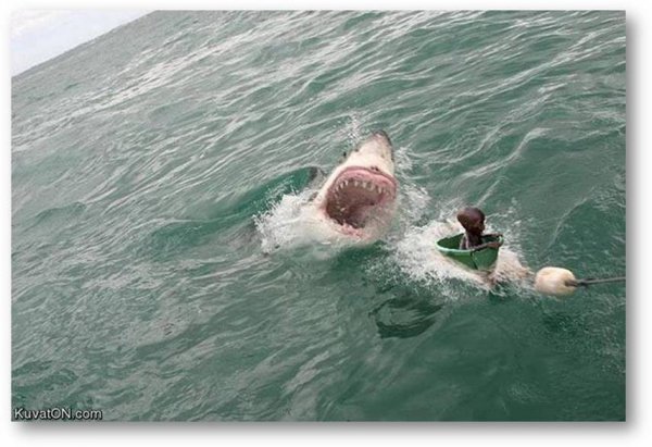 Голод картинки прикольные