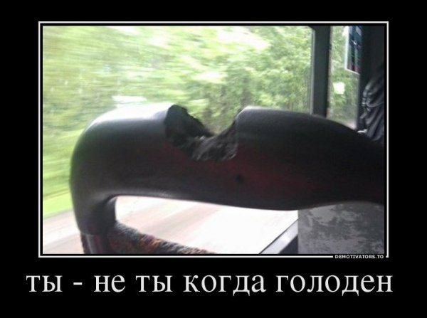 Ты не ты когда голоден фото