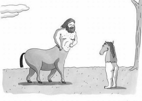 Кентавр карикатура