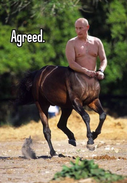 Путин на коне