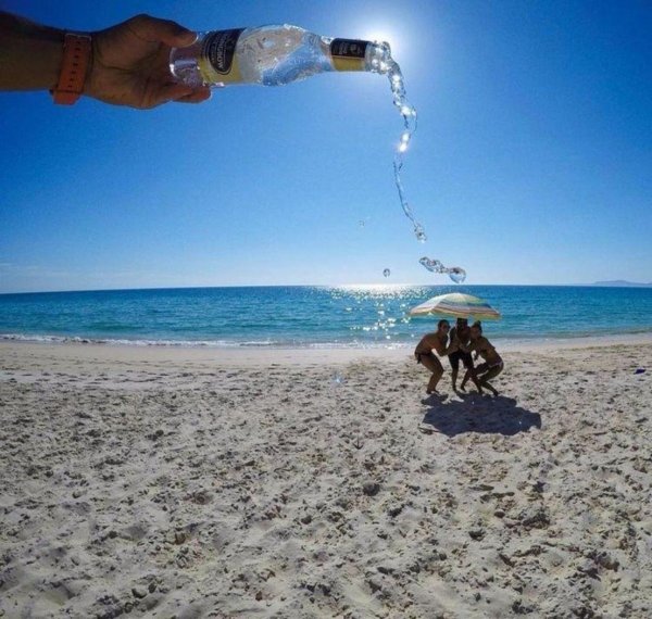 Слоненок на море