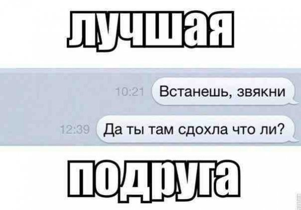 Цитаты про ЛП смешные