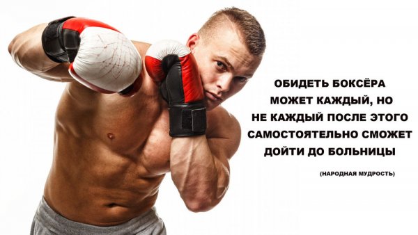 Боксера может обидеть каждый