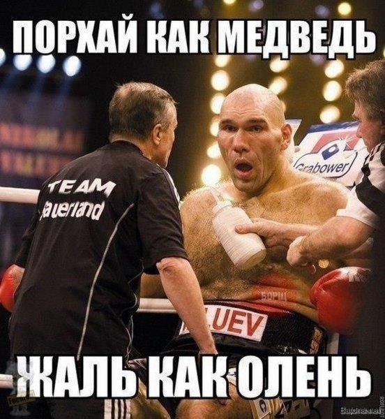Смешной бокс