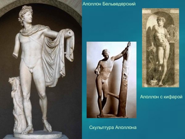 Аполлон Бельведерский картина