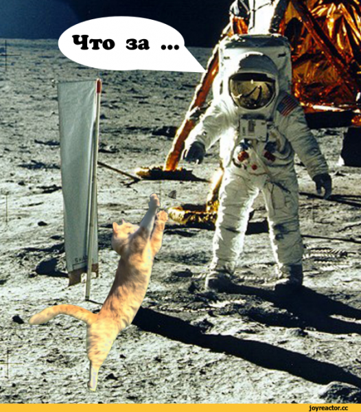 Кот космонавт на Луне
