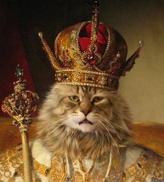 Кот царя Алексея Михайловича Эрмитаж