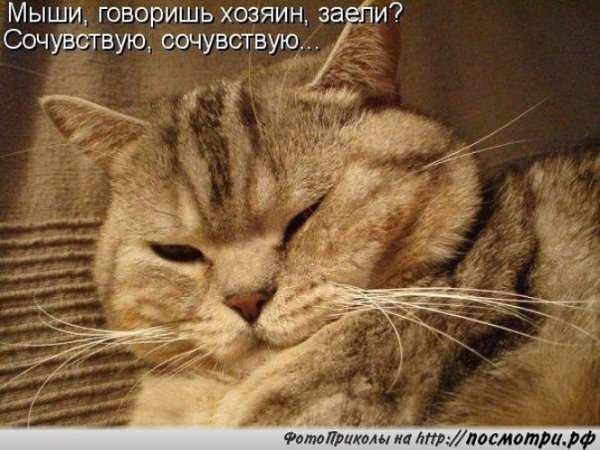 Сочувствую картинки