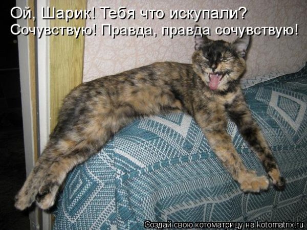 Картинки я сочувствую