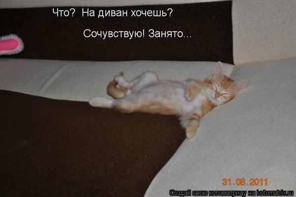 Сочувствую картинки прикольные