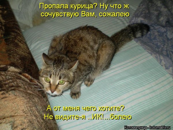 Заходите завтра