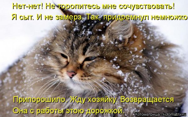 Замершая душа глава