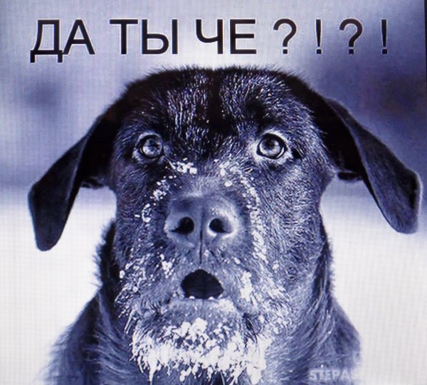 И чё картинки смешные