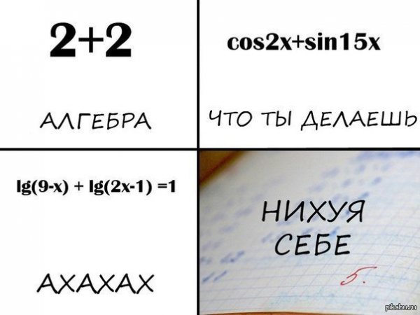 Мемы про алгебру