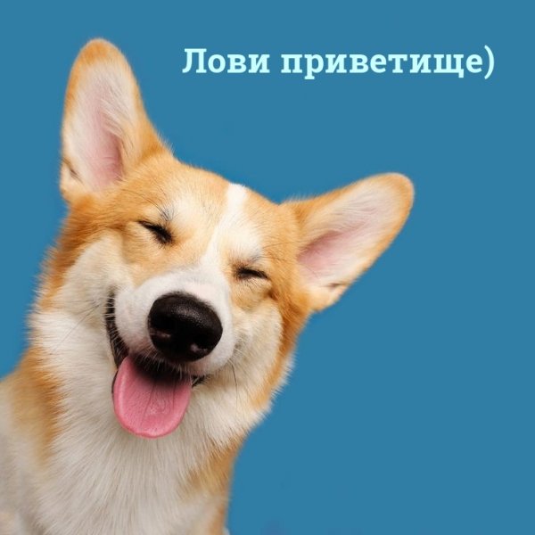 Привет картинки