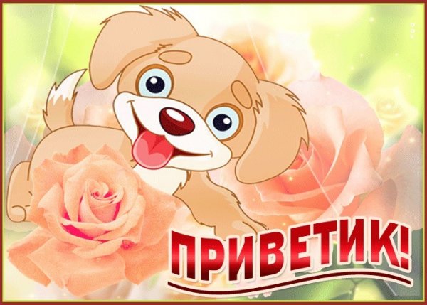 Открытки привет