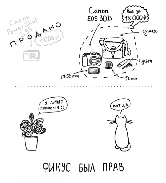 Фикус прикол