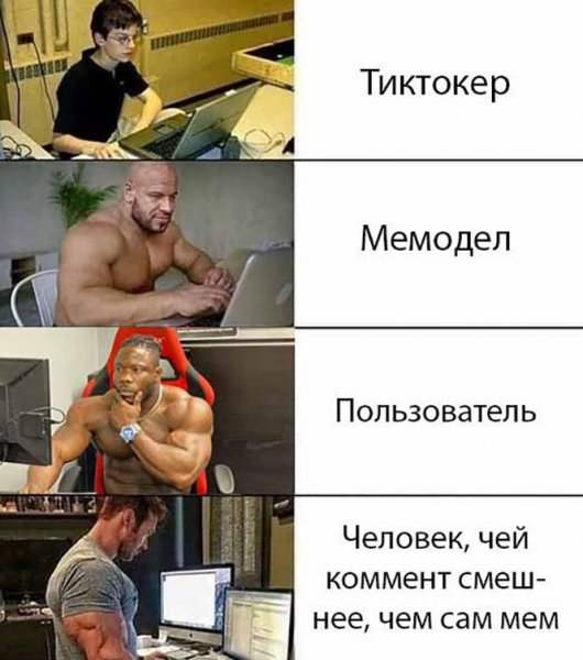 Мемы в жизни человека