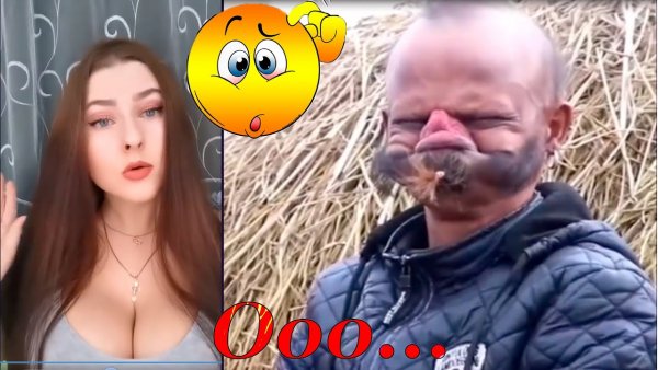 Dina тик токер