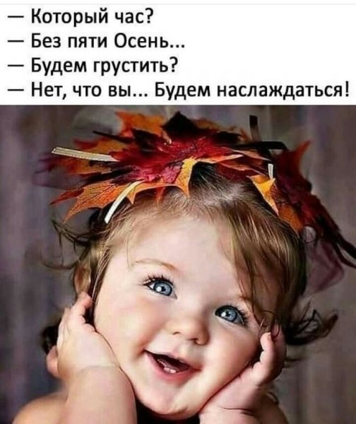 Смешные цитаты