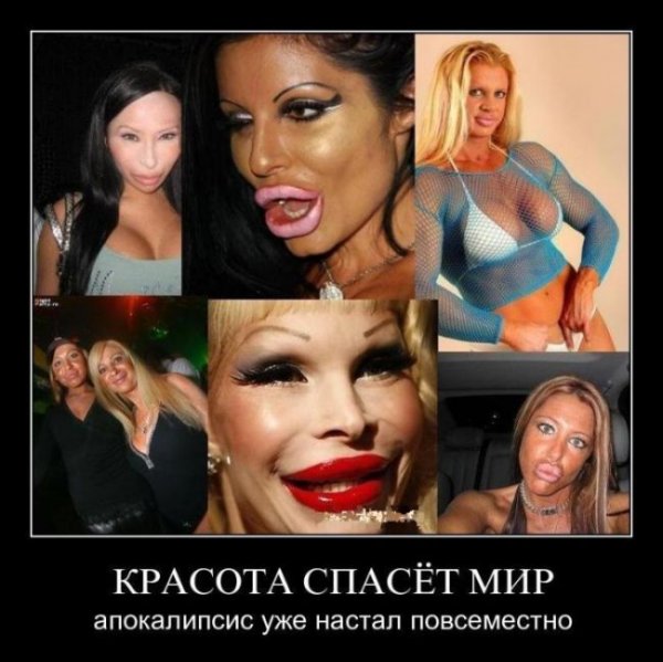 Красота спасет мир