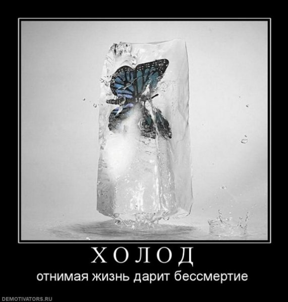 Шутки про холод