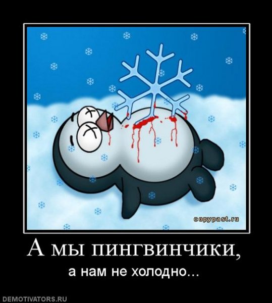 Шутки про зиму