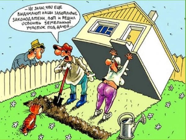 Дача карикатура