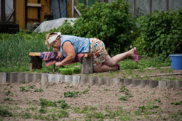 Баба на грядке
