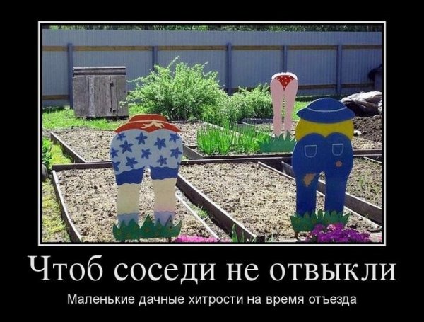 Приколы про дачу смешные