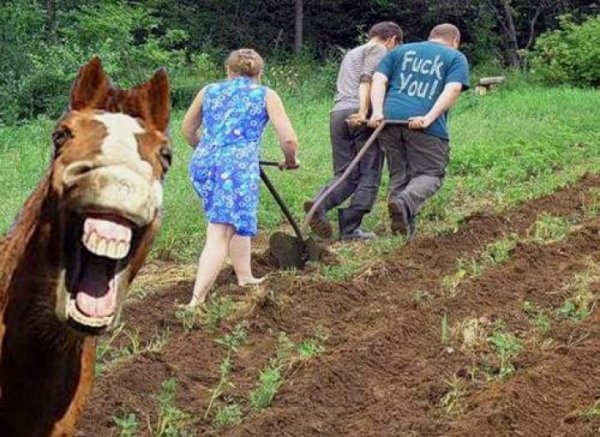 Женщины пашут огород