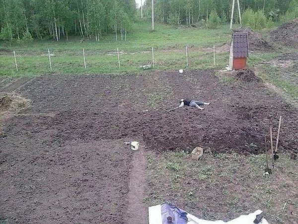 Дачники приколы