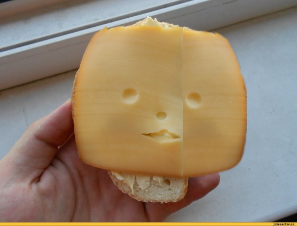 Смешной сыр