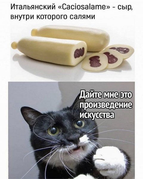 Сыр прикол