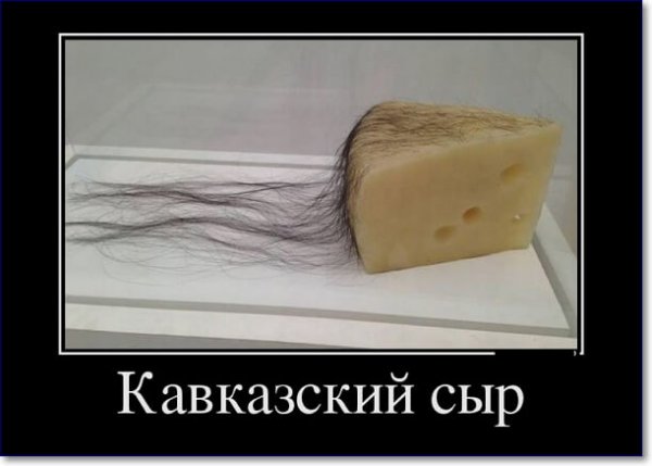 Сыр демотиватор