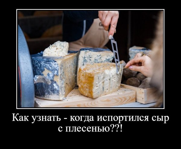 Сыр прикол