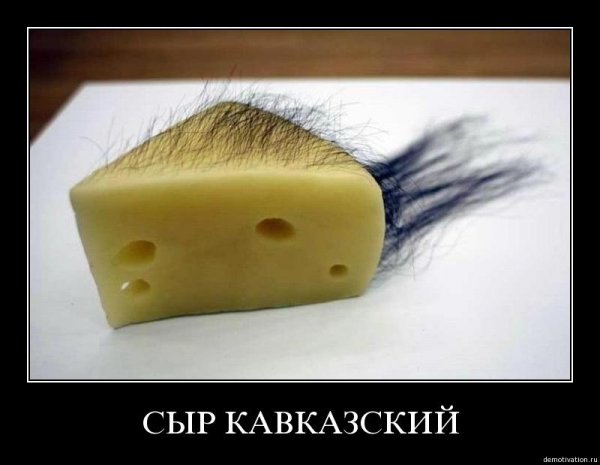 Сыр прикол