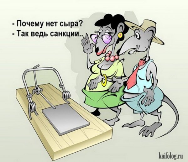 Анекдоты про сыр