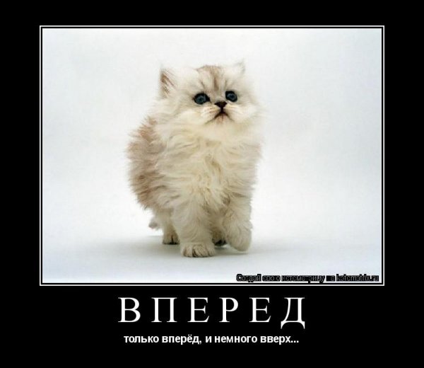 Только вперед картинки