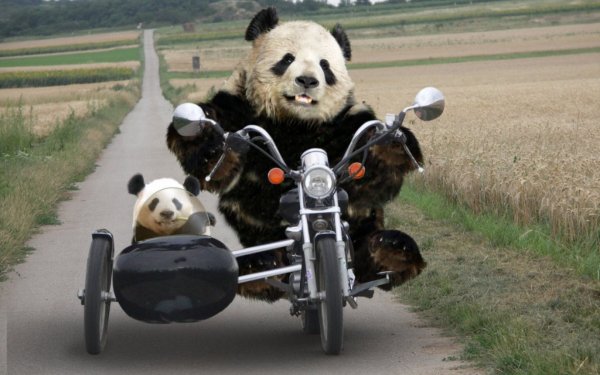 Вперед к победе!