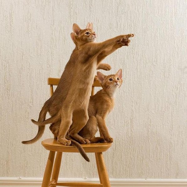 В перед к мечтам картинки