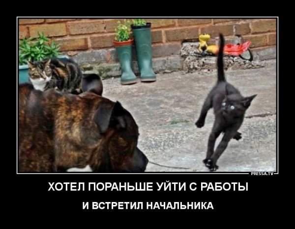 Стремление к цели