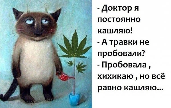 Доктор я кашляю а травку