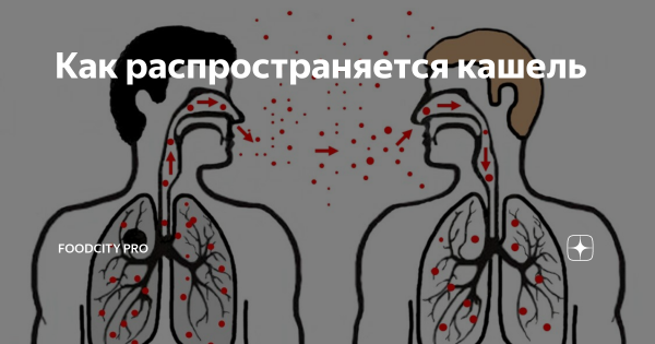 Как распространяется кашель